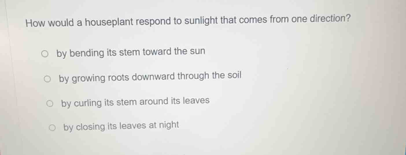 how would a houseplant respond to sunlight that comes from one directio…
