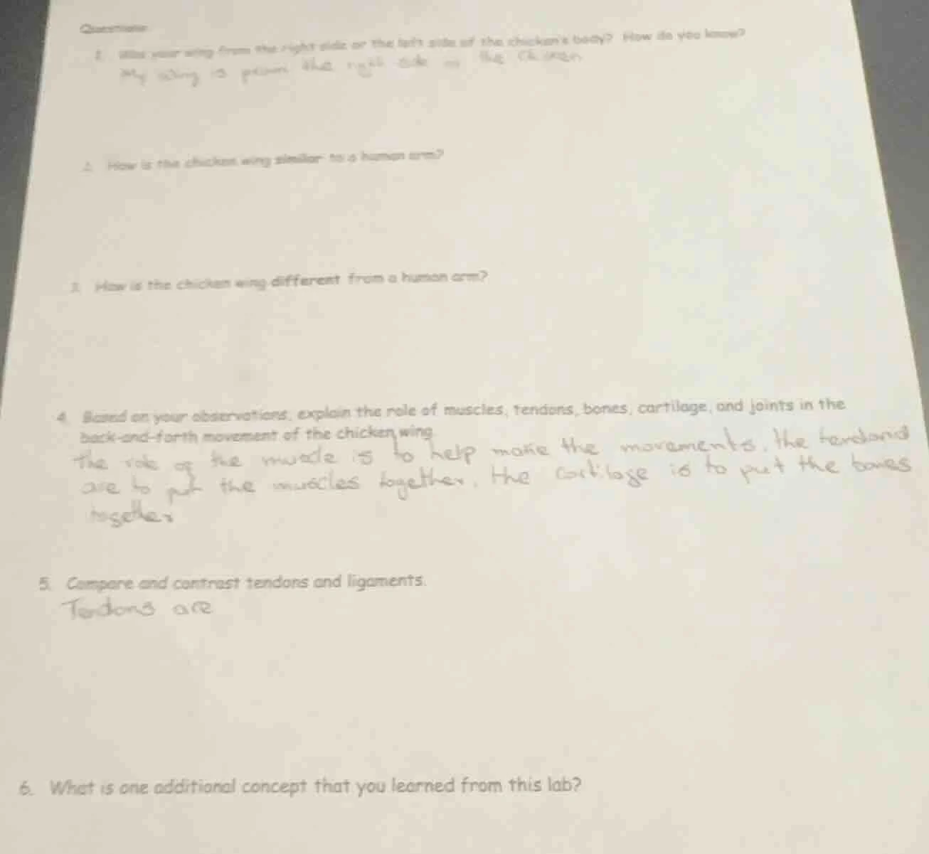 questions 1. was your wing from the right side or the left side of the …