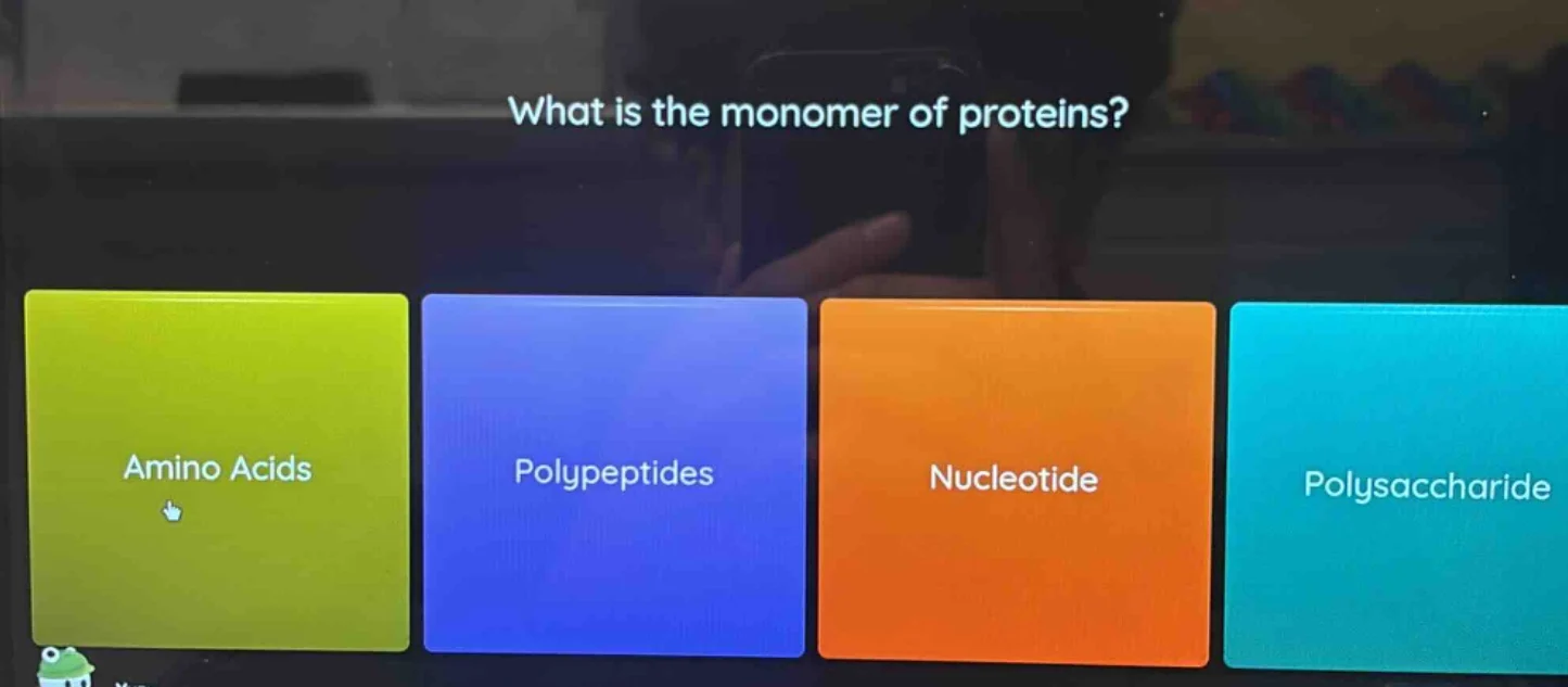what is the monomer of proteins? amino acids polypeptides nucleotide po…