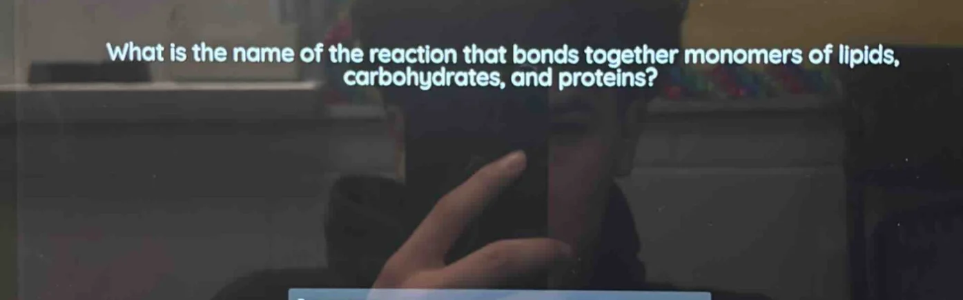 what is the name of the reaction that bonds together monomers of lipids…