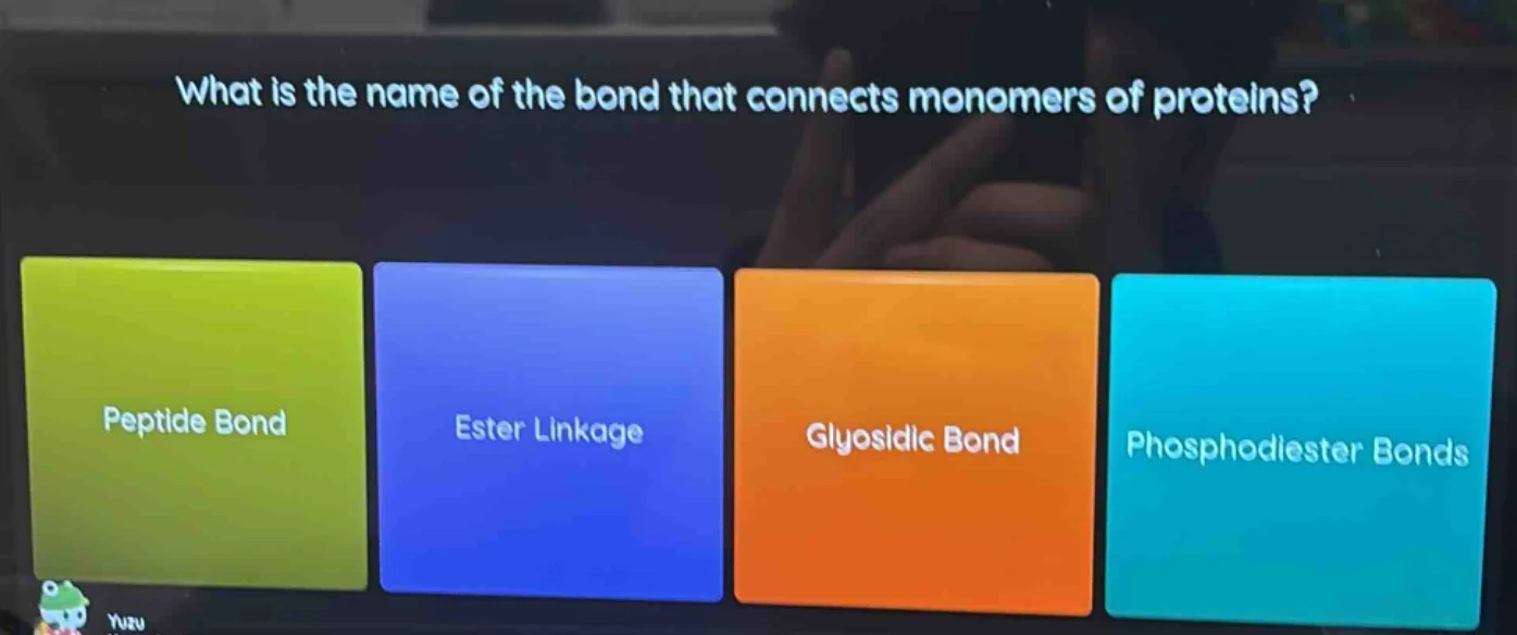 what is the name of the bond that connects monomers of proteins? peptid…