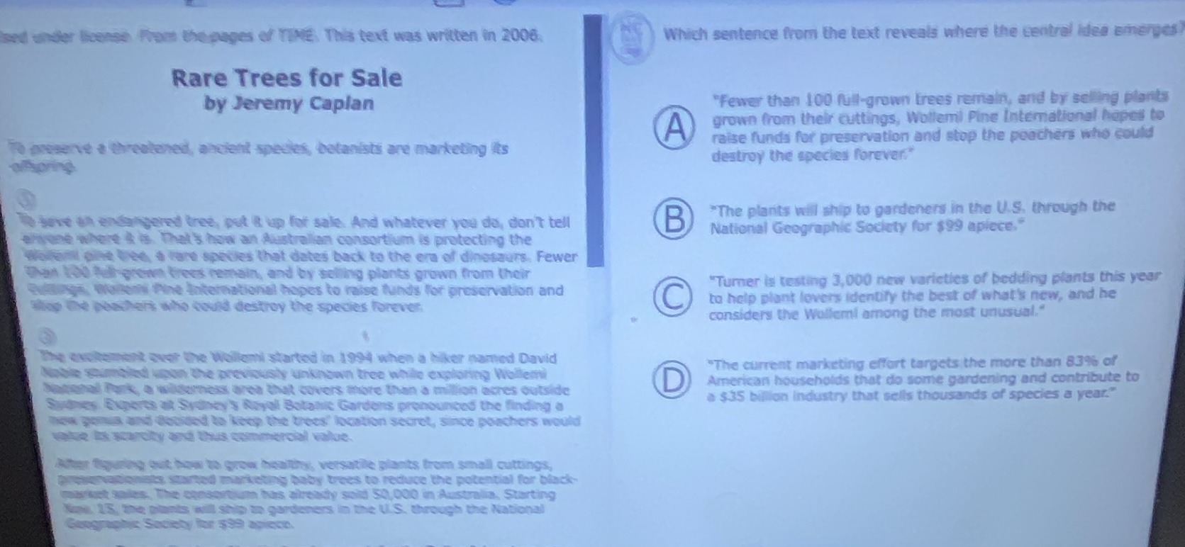 rare trees for sale by jeremy caplan to preserve a threatened, ancient …