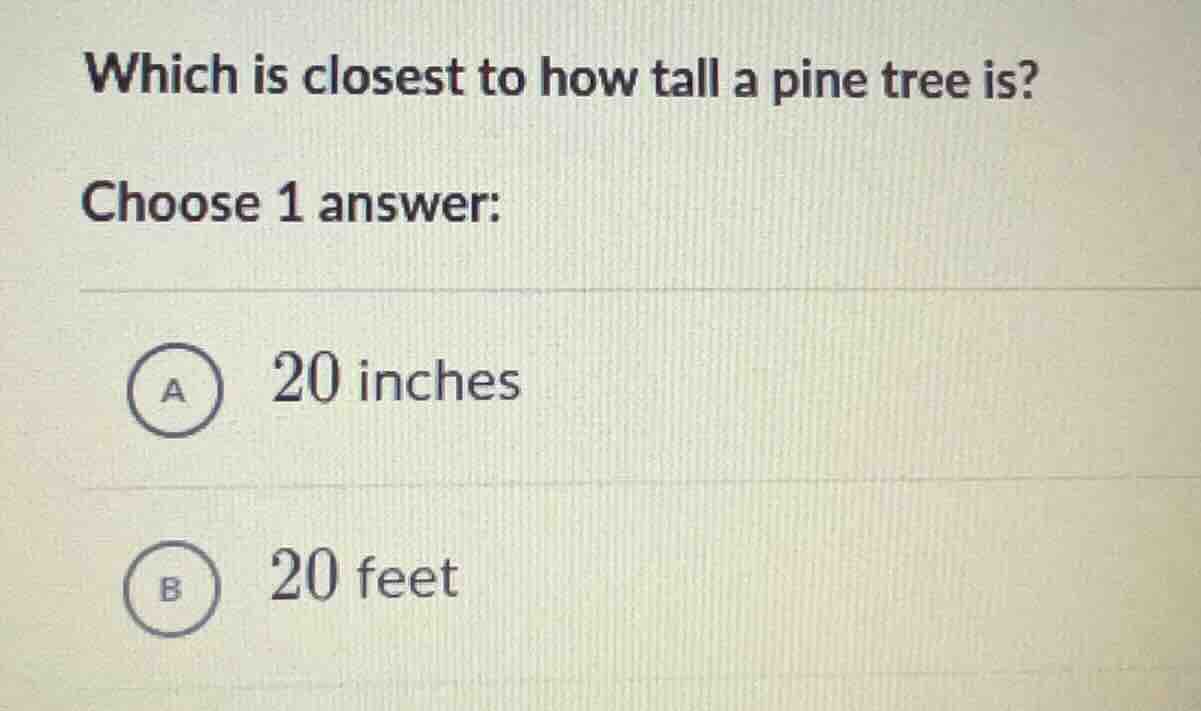 which is closest to how tall a pine tree is? choose 1 answer: a 20 inch…