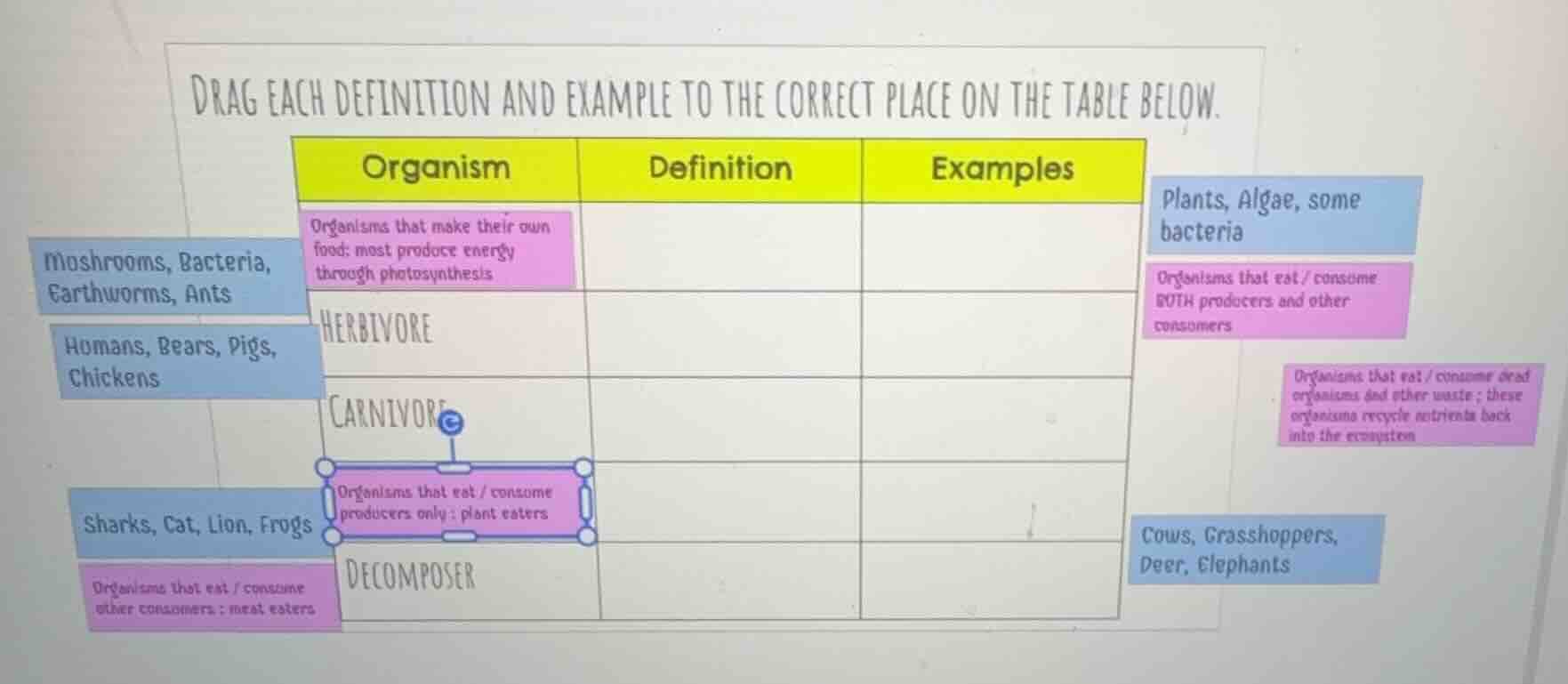 drag each definition and example to the correct place on the table belo…