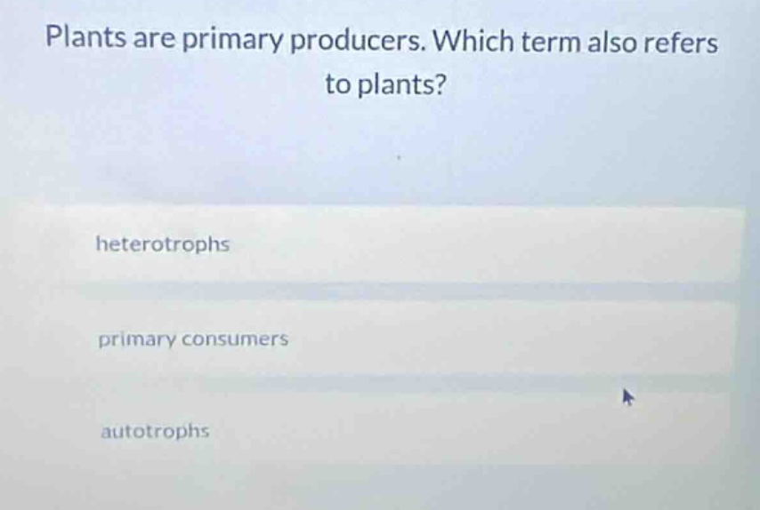 plants are primary producers. which term also refers to plants? heterot…