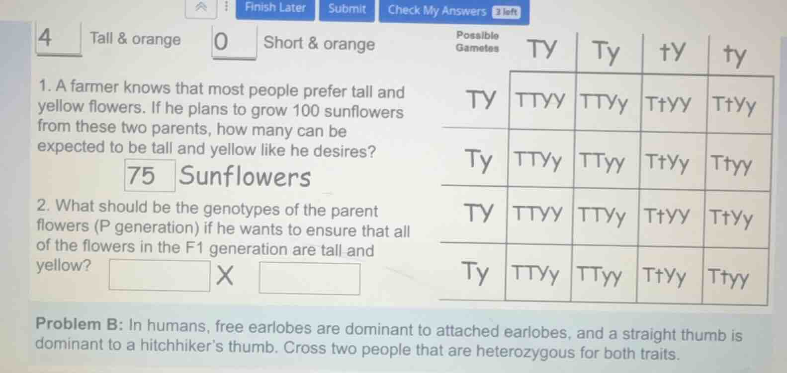 4 tall & orange 0 short & orange 1. a farmer knows that most people pre…
