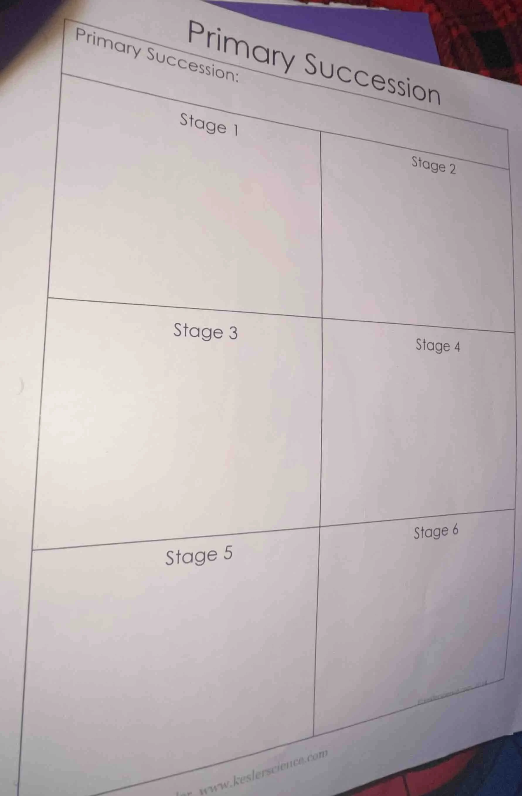 primary succession primary succession: stage 1\tstage 2 stage 3\tstage …