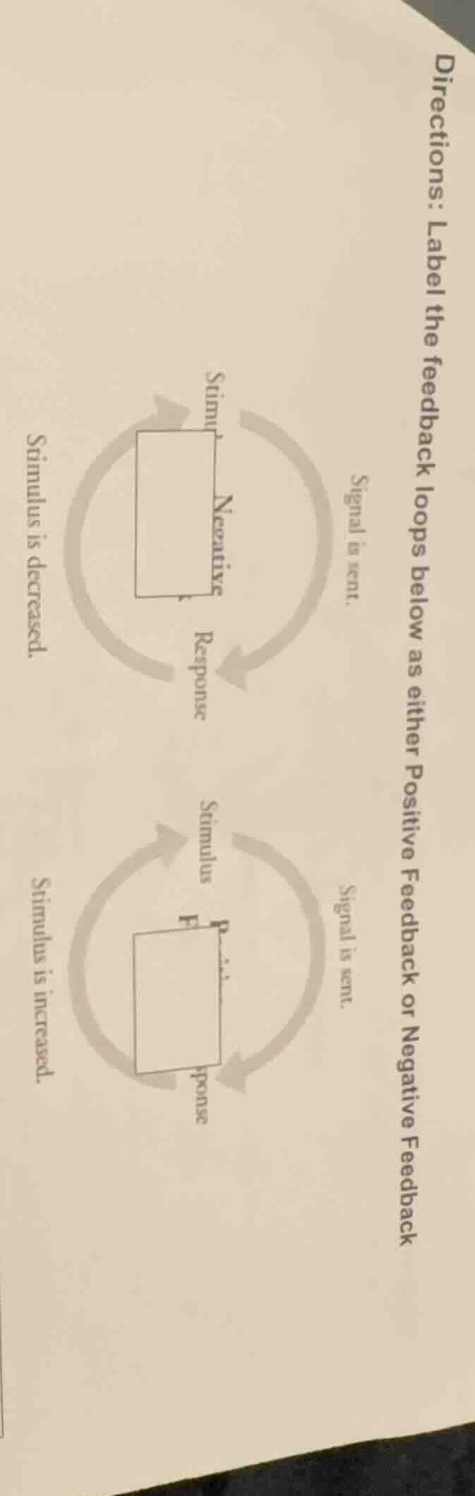 directions: label the feedback loops below as either positive feedback …