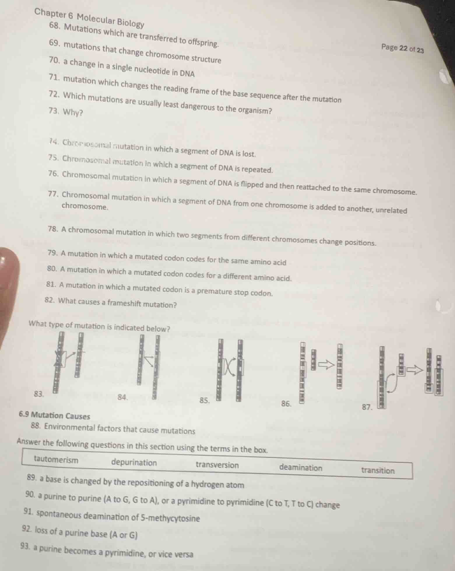 chapter 6 molecular biology 68. mutations which are transferred to offs…