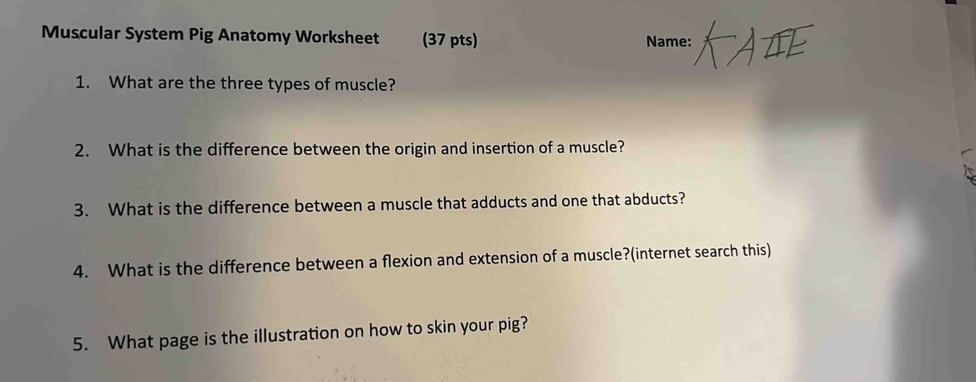 muscular system pig anatomy worksheet (37 pts) name: 1. what are the th…