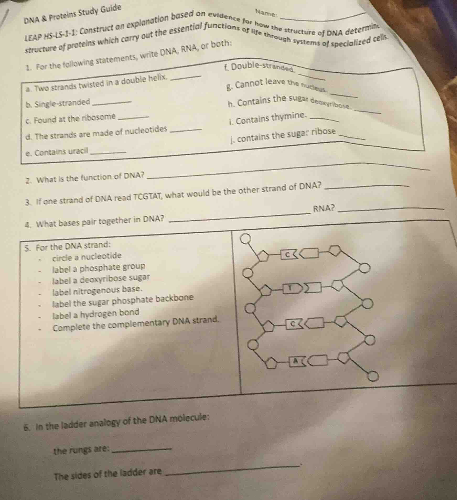 dna & proteins study guide name: leap hs - ls - 1 - 1: construct an exp…