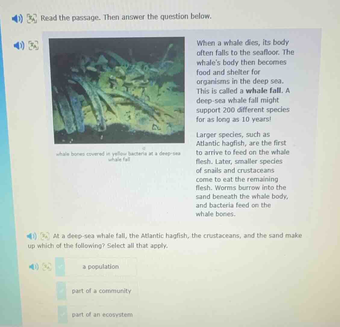 read the passage. then answer the question below. image: whale bones co…