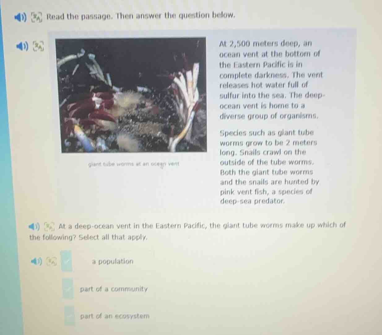 read the passage. then answer the question below. at 2,500 meters deep,…