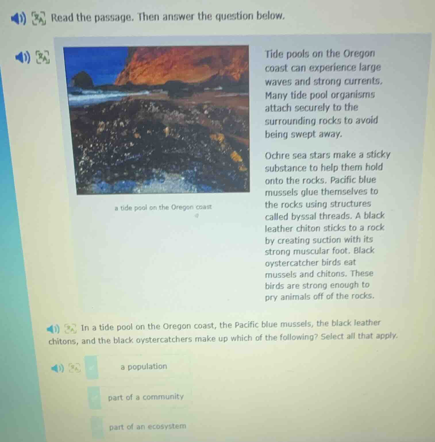 read the passage. then answer the question below. tide pools on the ore…