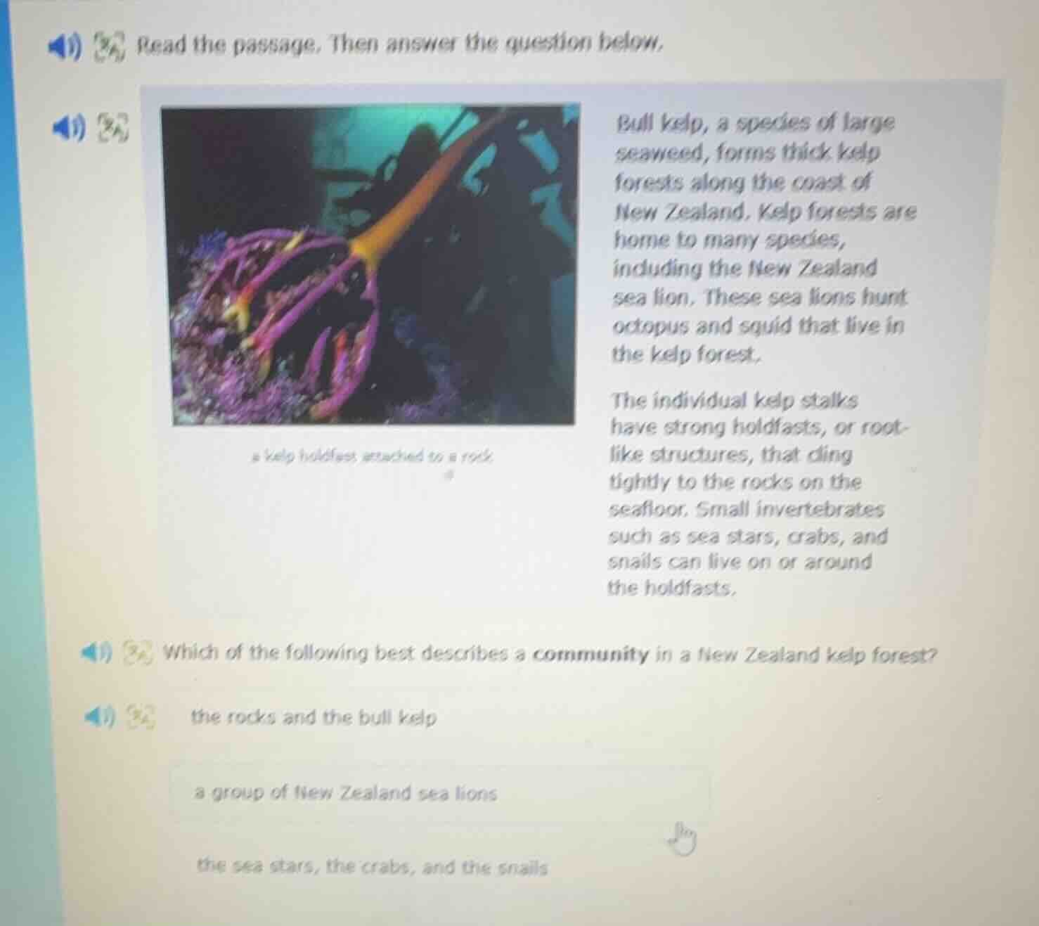 read the passage. then answer the question below. bull kelp, a species …