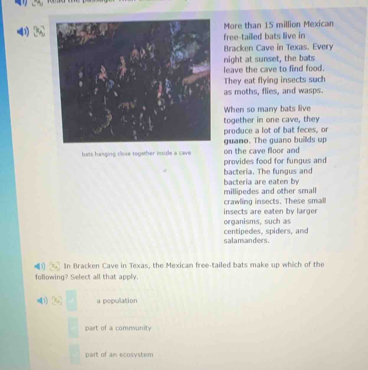 more than 15 million mexican free - tailed bats live in bracken cave in…