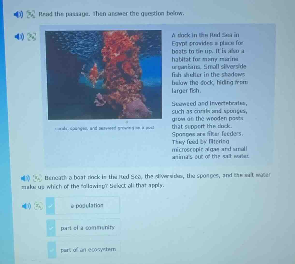 read the passage. then answer the question below. a dock in the red sea…