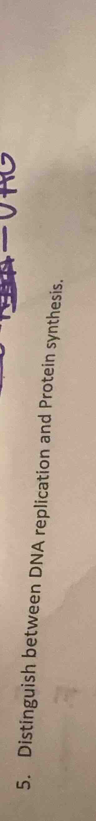 5. distinguish between dna replication and protein synthesis.