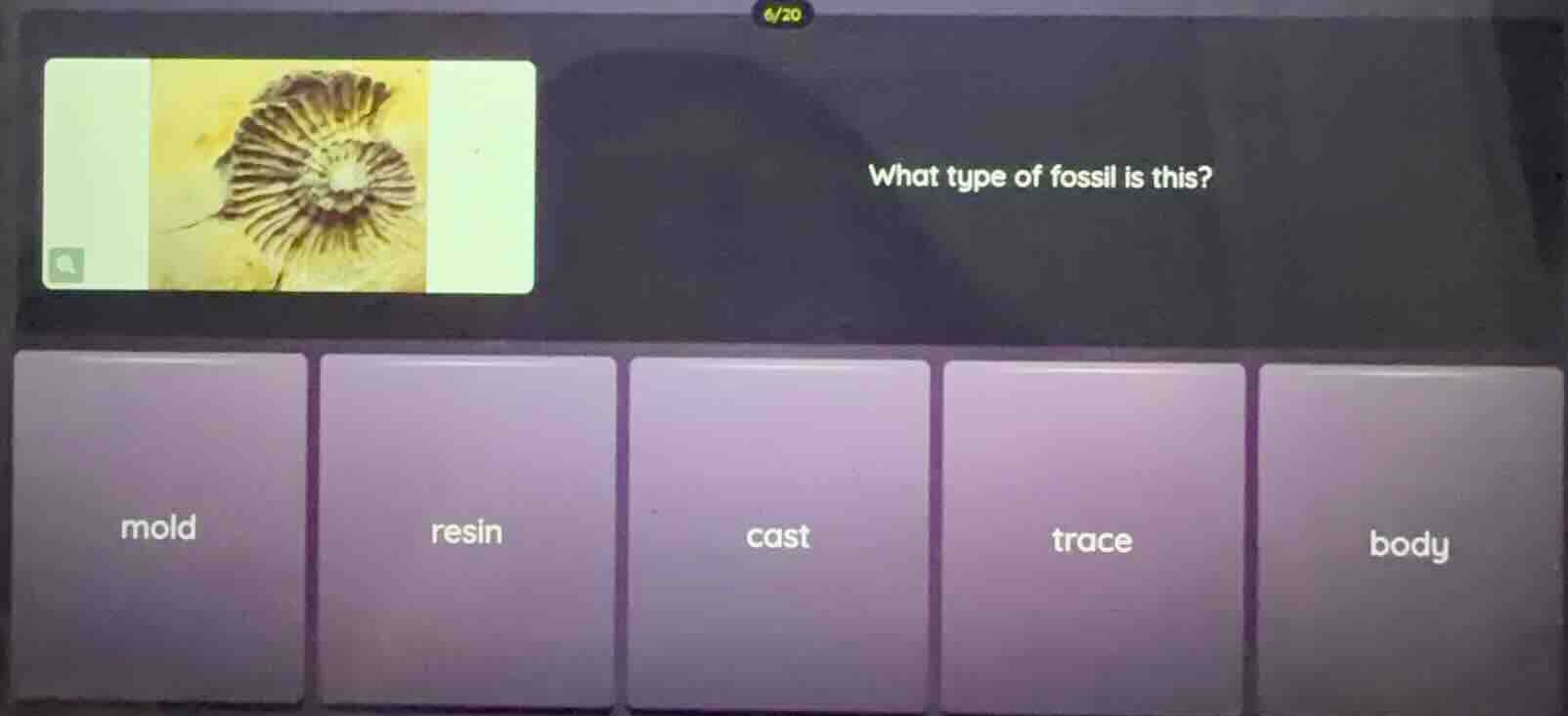 what type of fossil is this? mold resin cast trace body