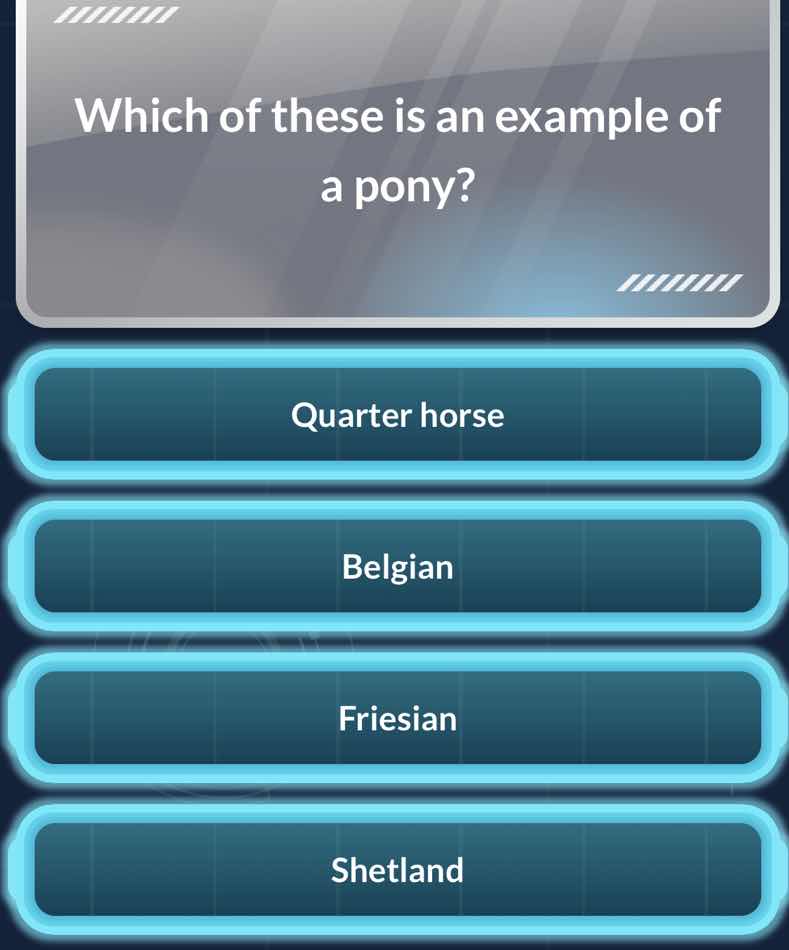 which of these is an example of a pony? quarter horse belgian friesian …