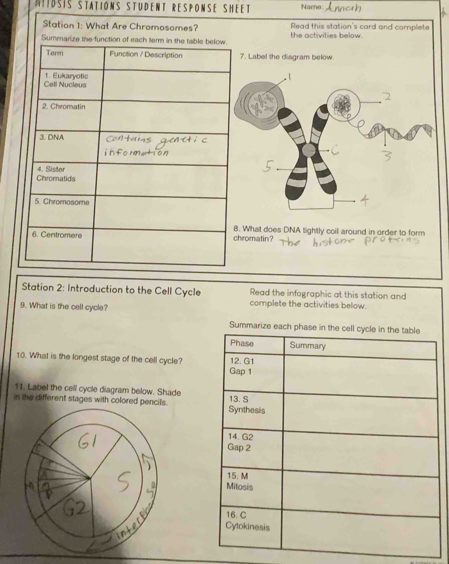 mitosis stations student response sheet name: annah station 1: what are…