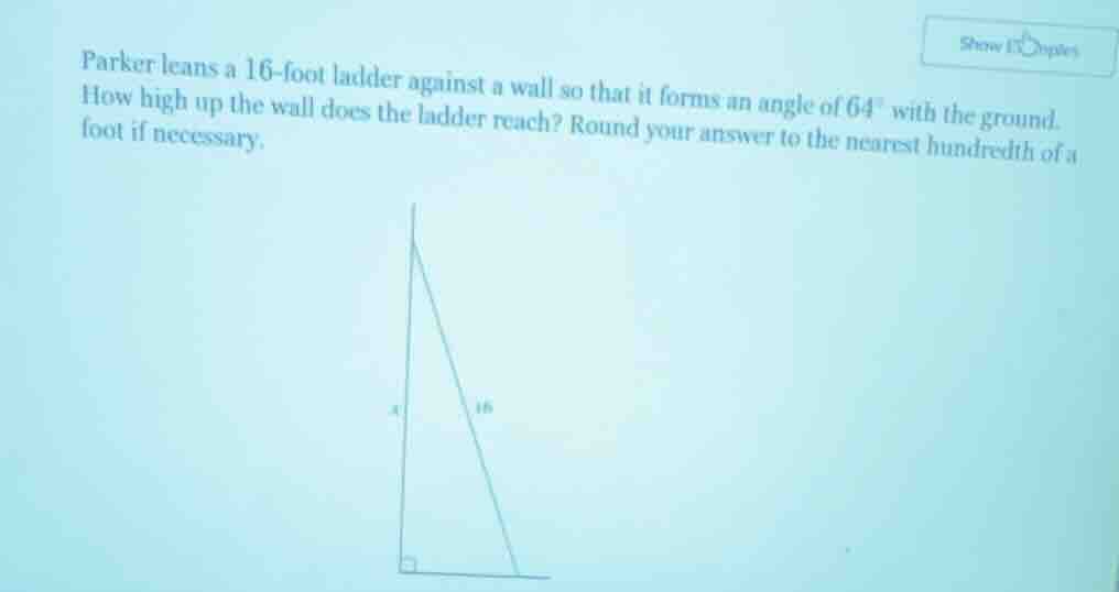 parker leans a 16-foot ladder against a wall so that it forms an angle …