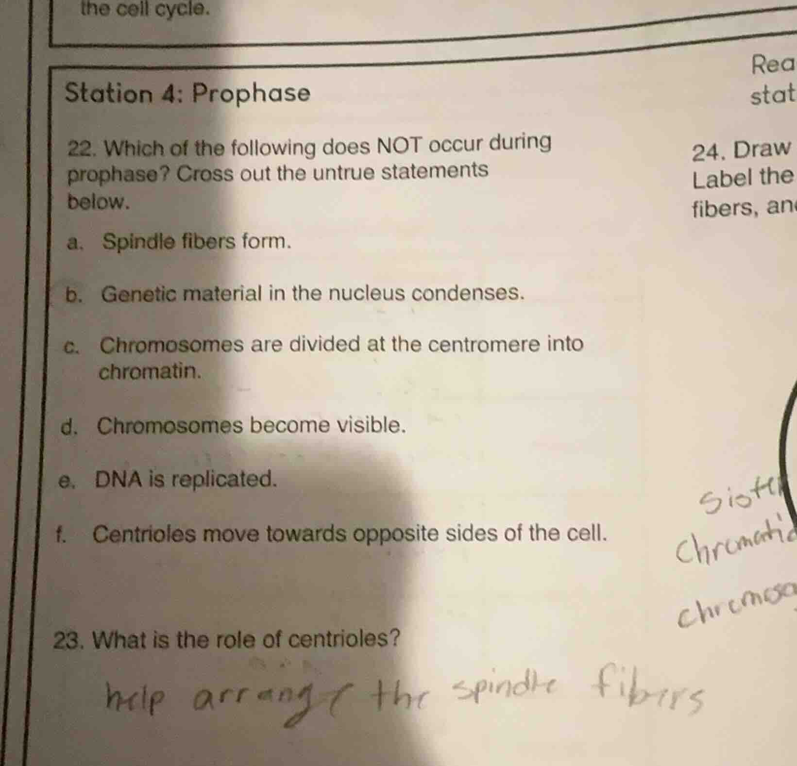 station 4: prophase 22. which of the following does not occur during pr…