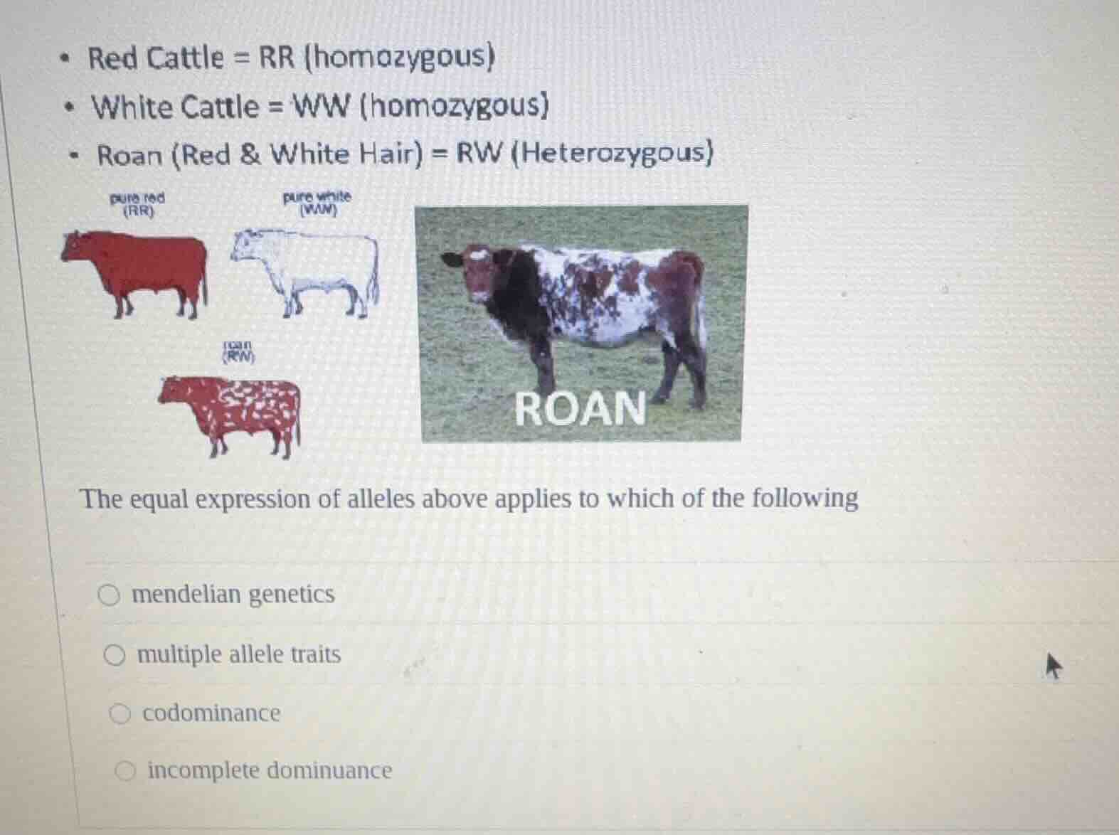 • red cattle = rr (homozygous) • white cattle = ww (homozygous) • roan …