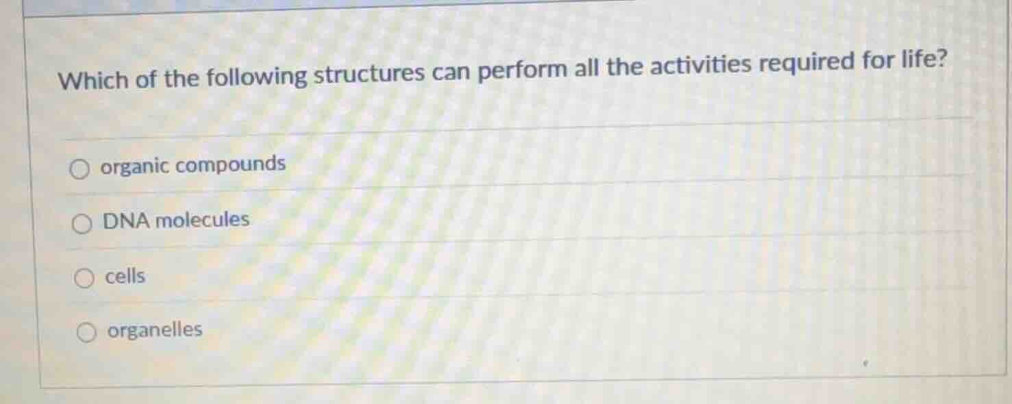 which of the following structures can perform all the activities requir…