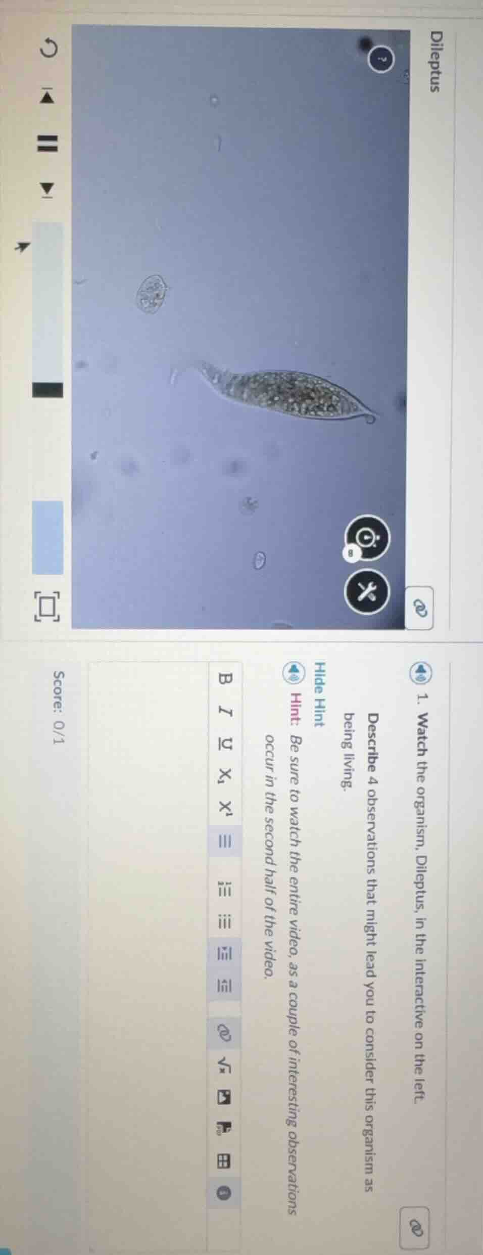 dileptus 1. watch the organism, dileptus, in the interactive on the lef…