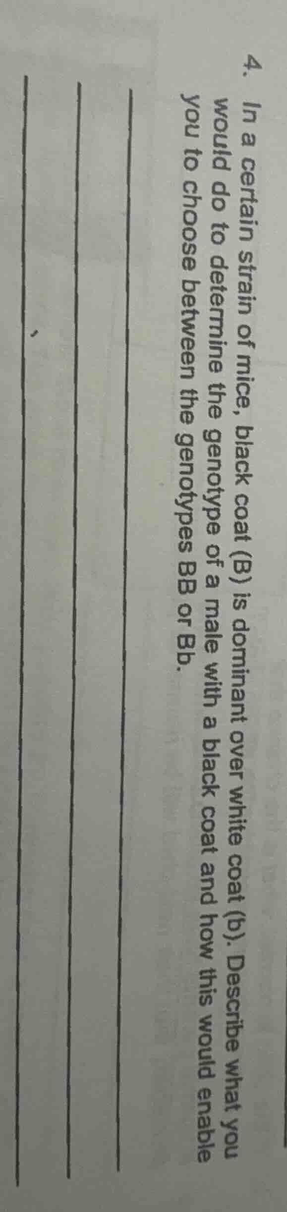 4. in a certain strain of mice, black coat (b) is dominant over white c…