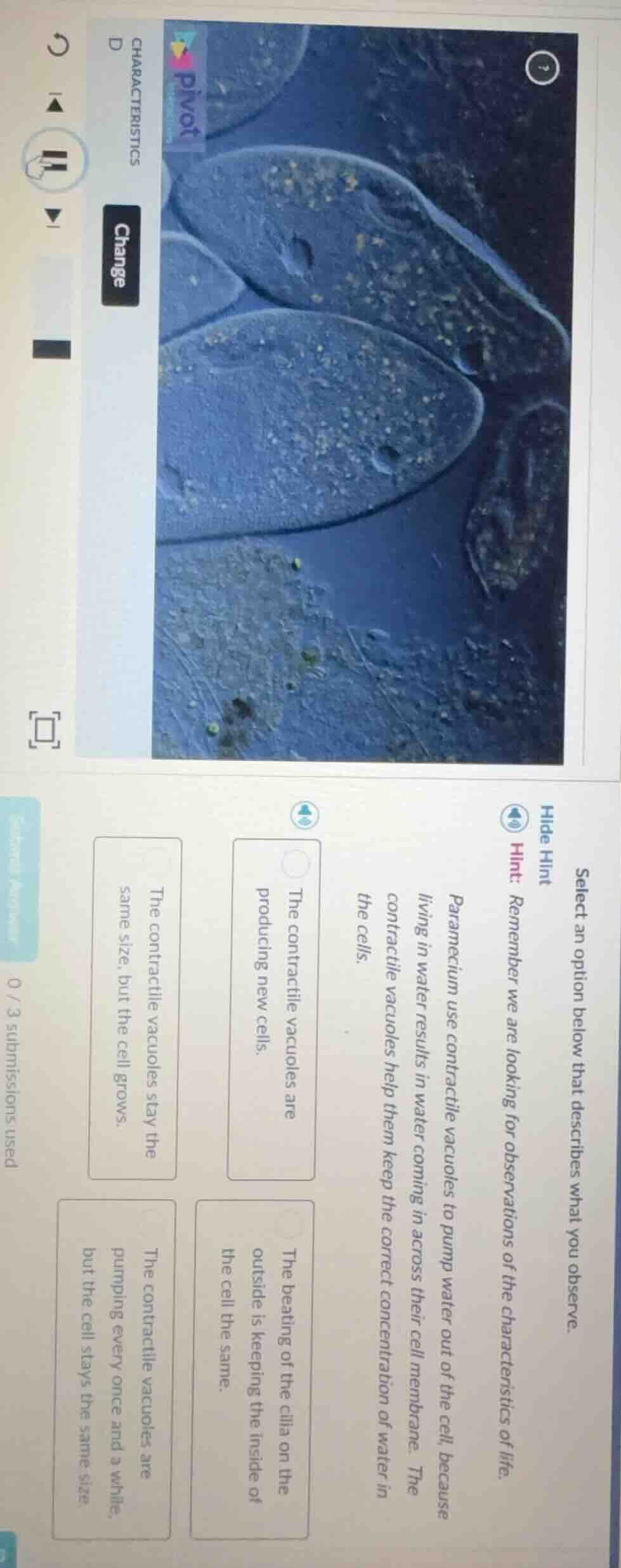 select an option below that describes what you observe. hide hint hint:…