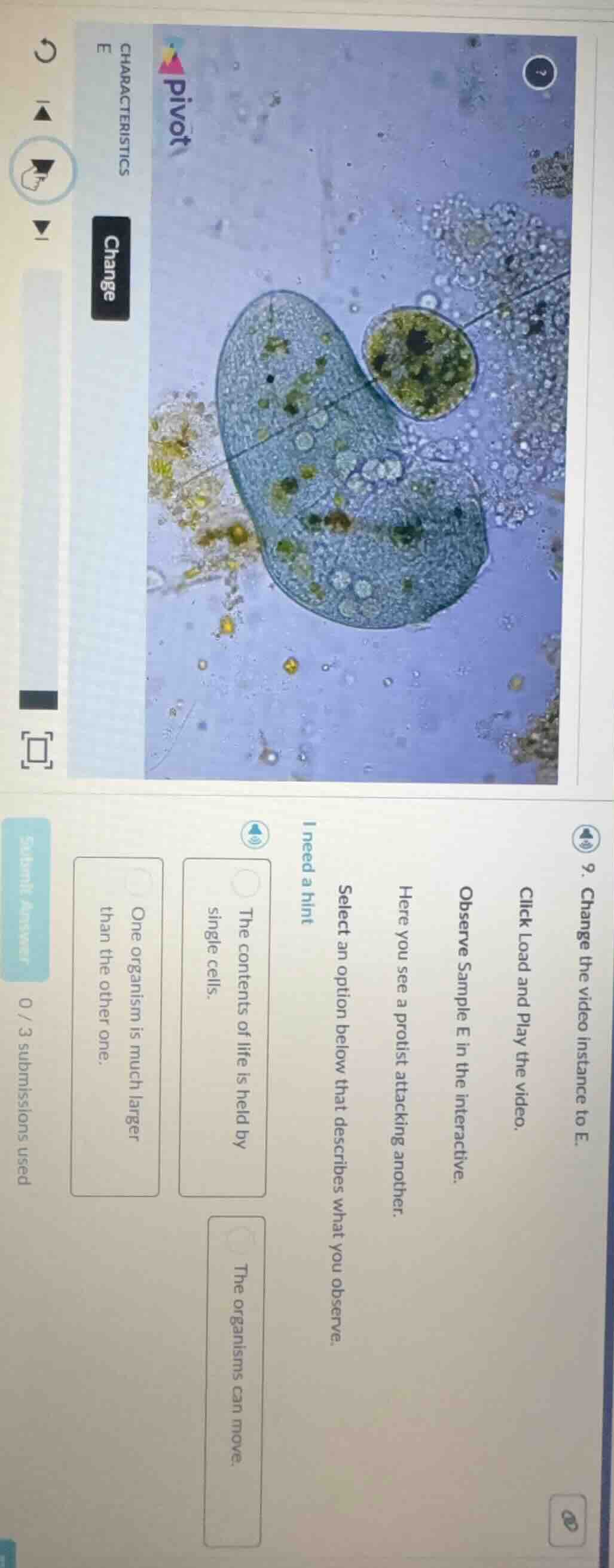 9. change the video instance to e. click load and play the video. obser…