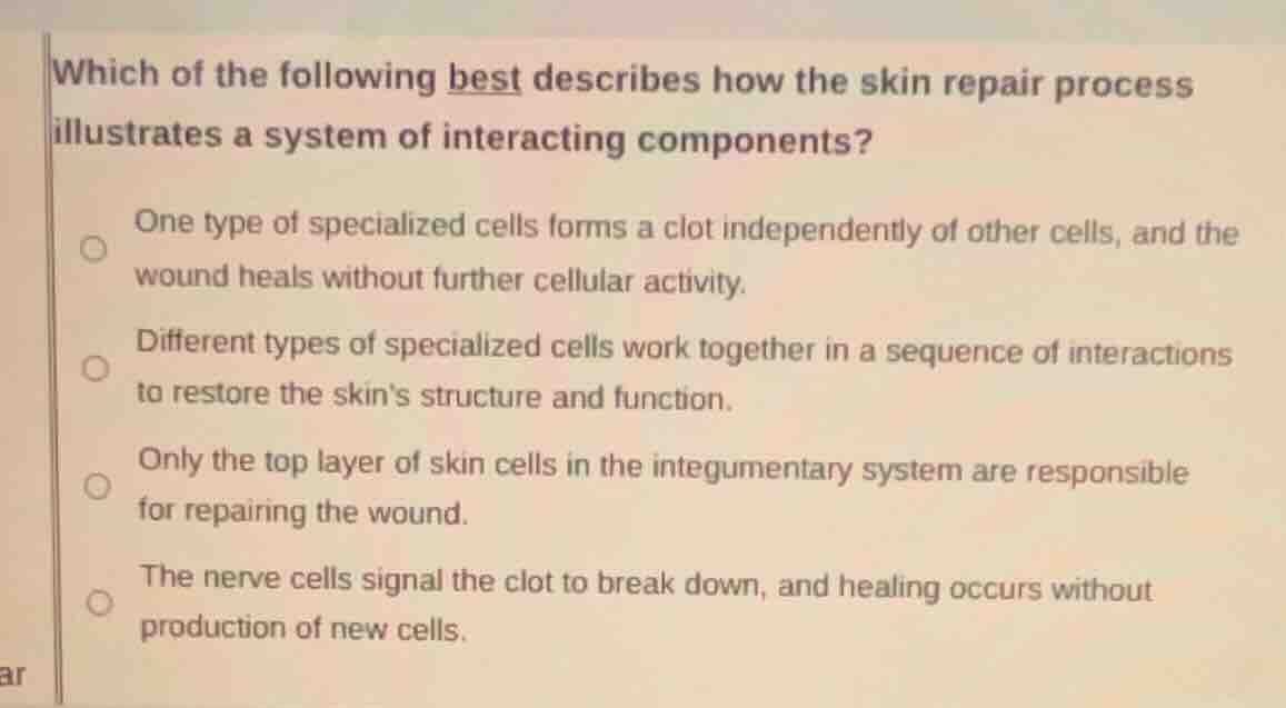 which of the following best describes how the skin repair process illus…