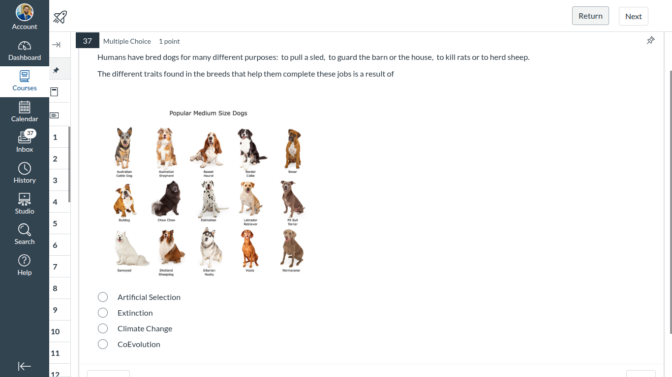 humans have bred dogs for many different purposes: to pull a sled, to g…