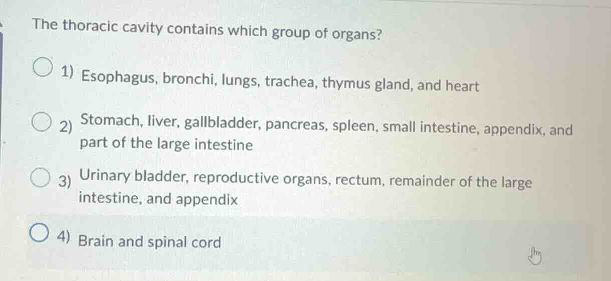 the thoracic cavity contains which group of organs? 1) esophagus, bronc…