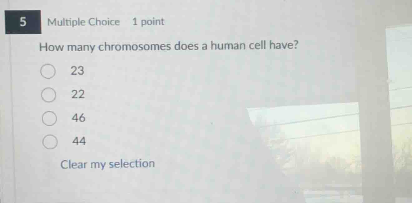5 multiple choice 1 point how many chromosomes does a human cell have? …