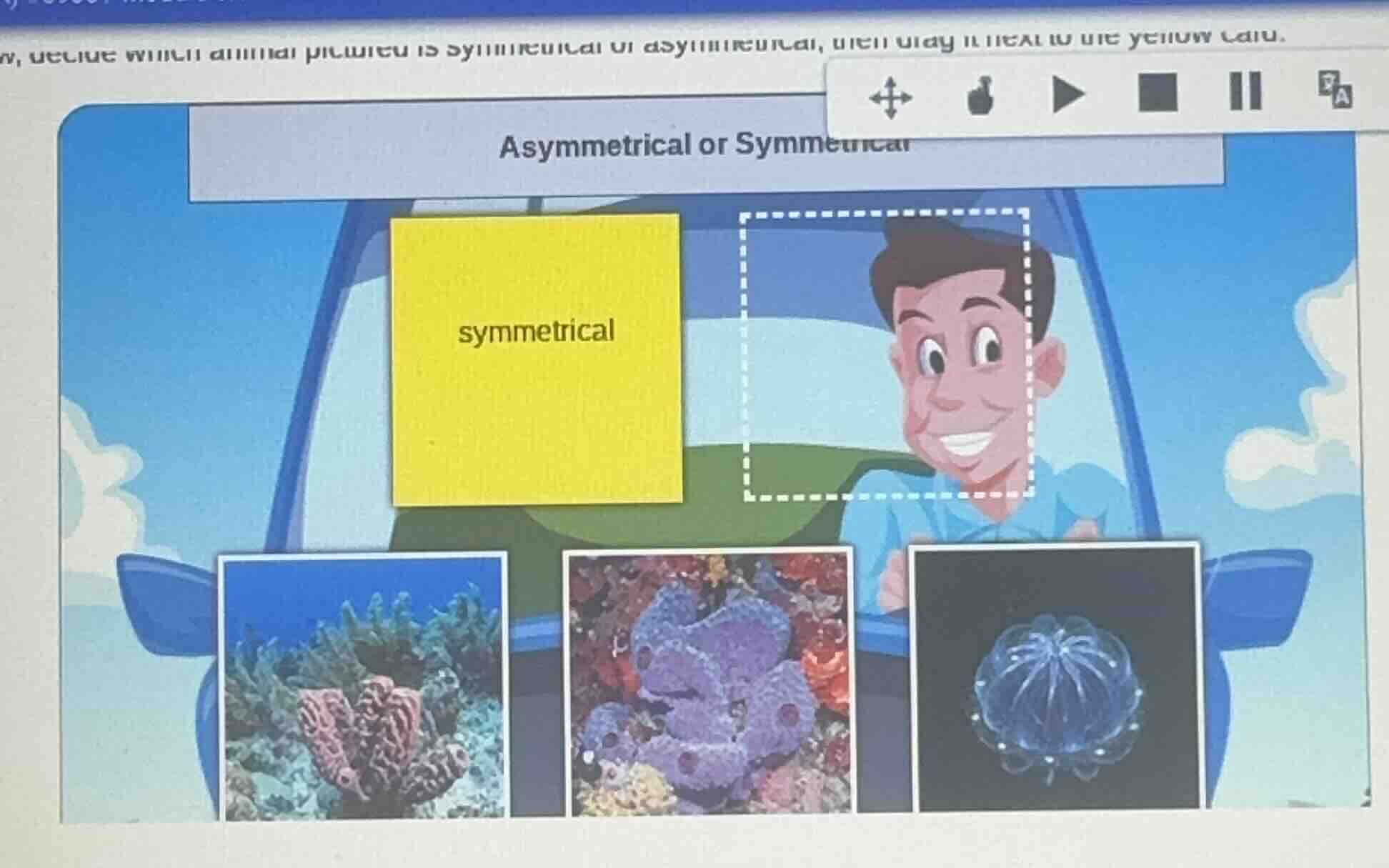 asymmetrical or symmetrical, decide which animal picture is symmetrical…
