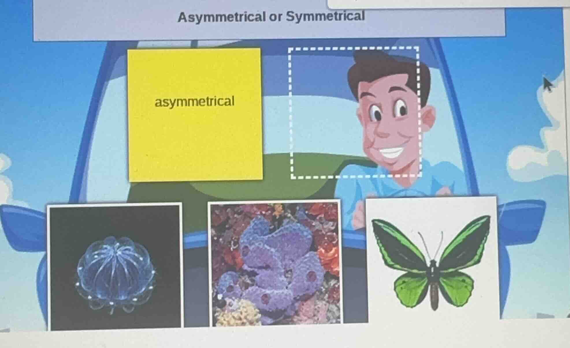 asymmetrical or symmetrical asymmetrical