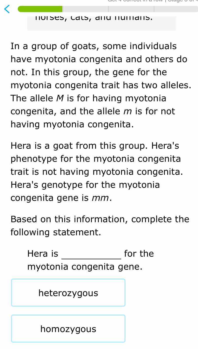 in a group of goats, some individuals have myotonia congenita and other…