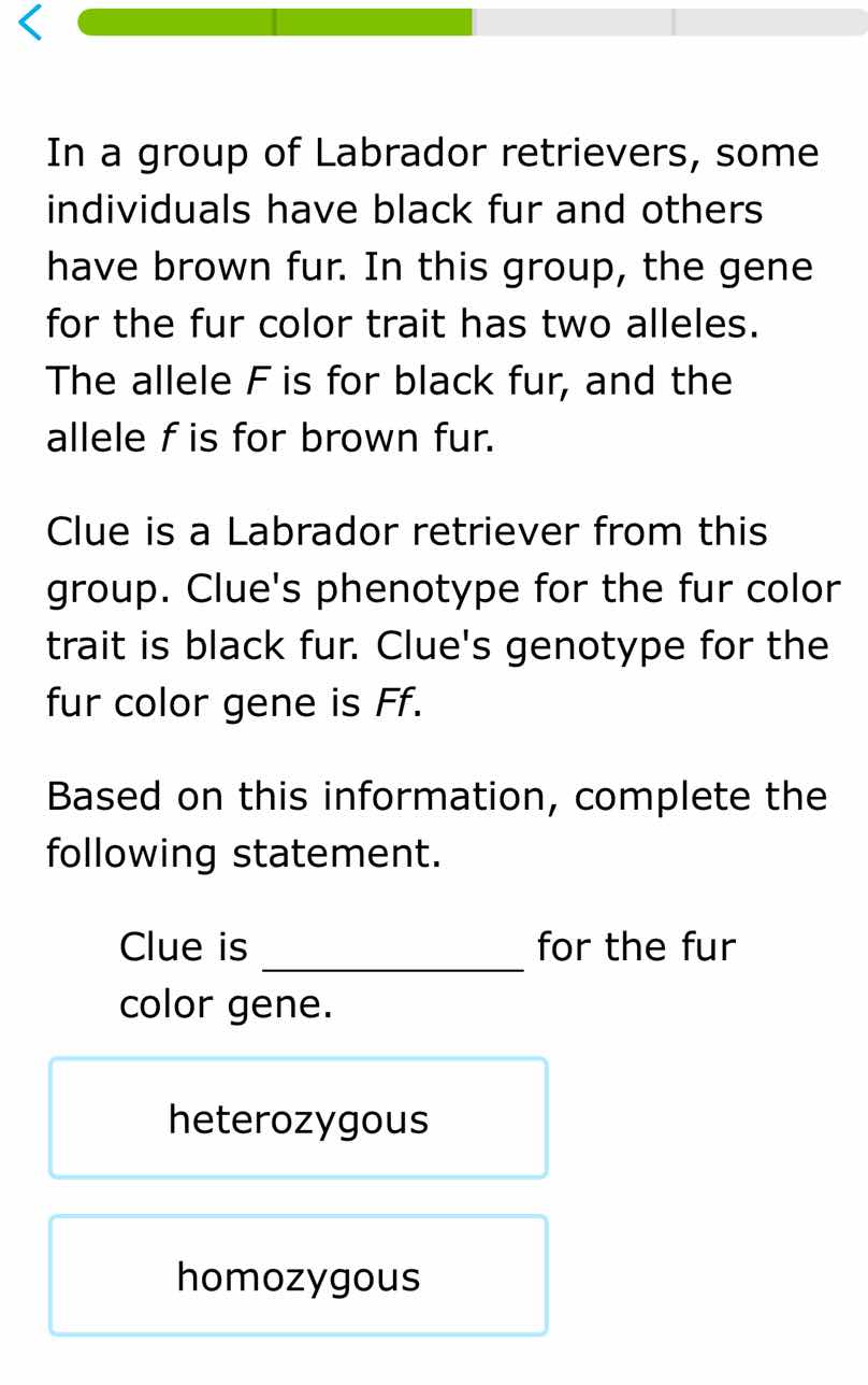 in a group of labrador retrievers, some individuals have black fur and …