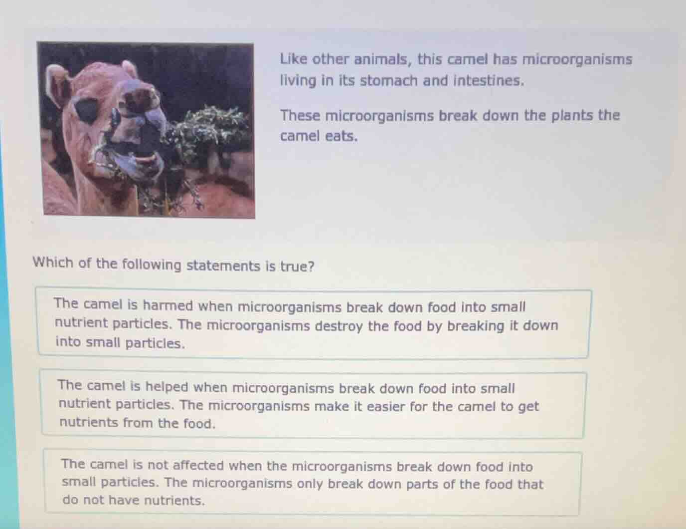 like other animals, this camel has microorganisms living in its stomach…