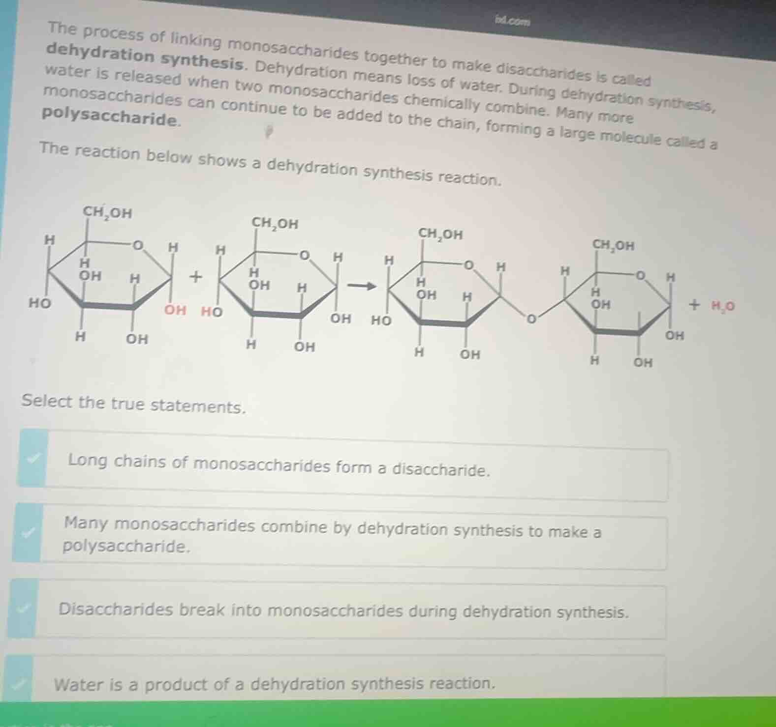 the process of linking monosaccharides together to make disaccharides i…