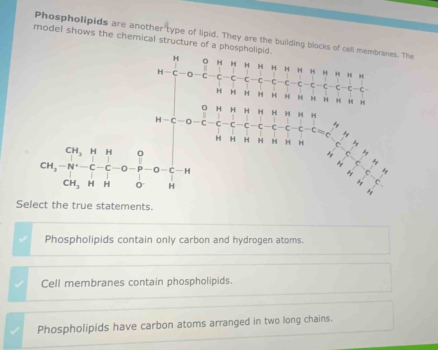 phospholipids are another type of lipid. they are the building blocks o…