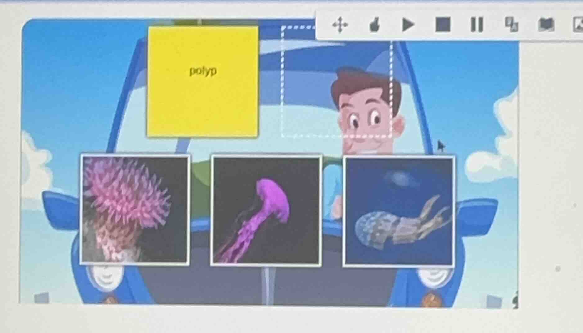 identify the polyp from the given images (the three images below: a pin…