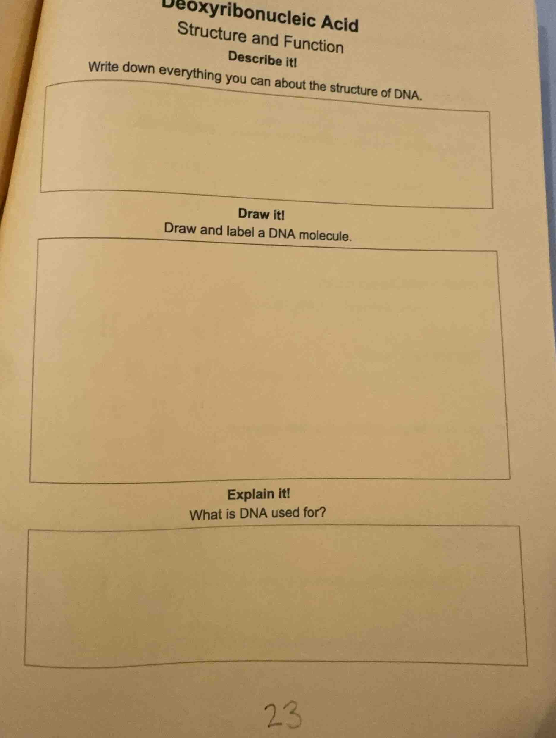deoxyribonucleic acid structure and function describe it! write down ev…