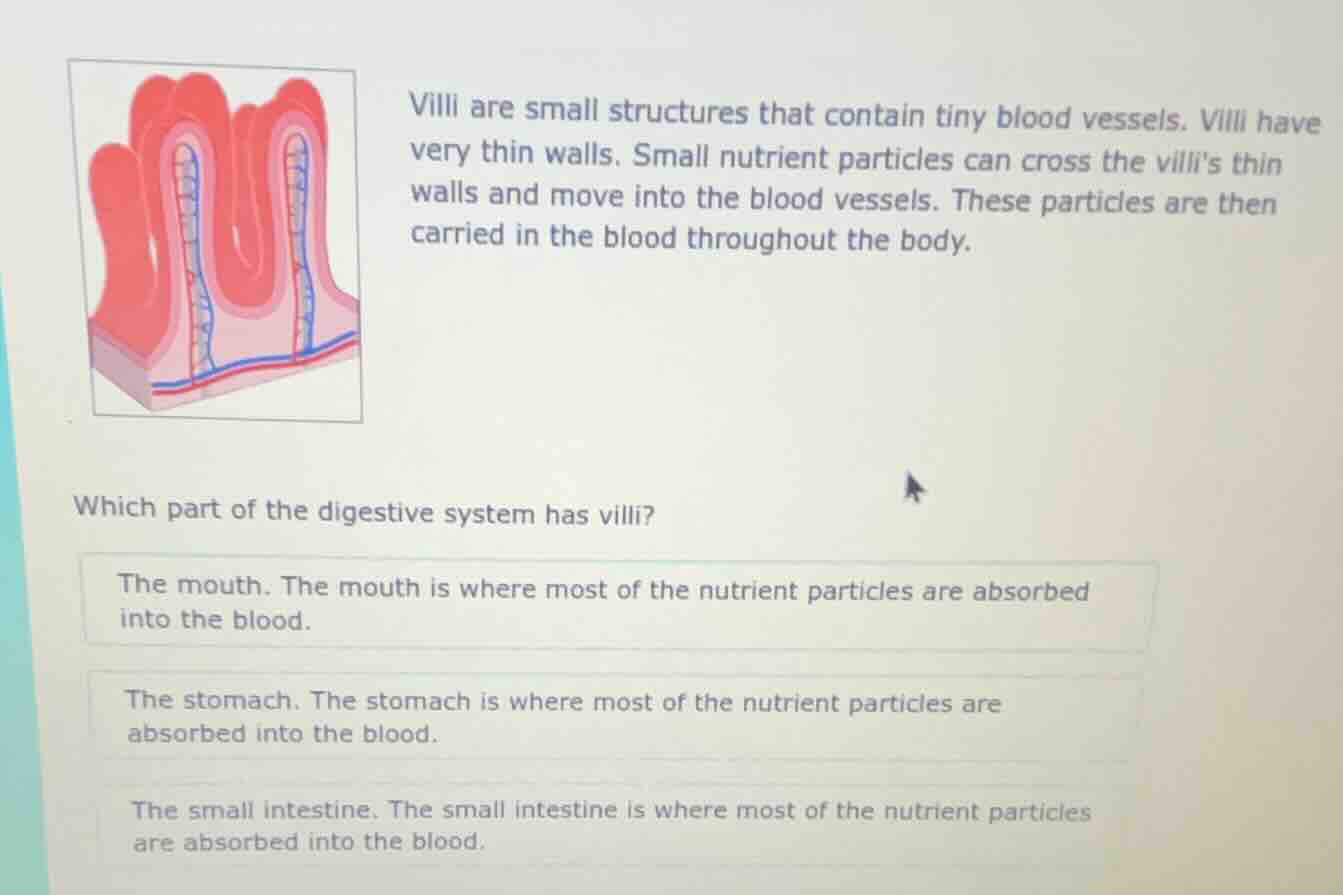 villi are small structures that contain tiny blood vessels. villi have …