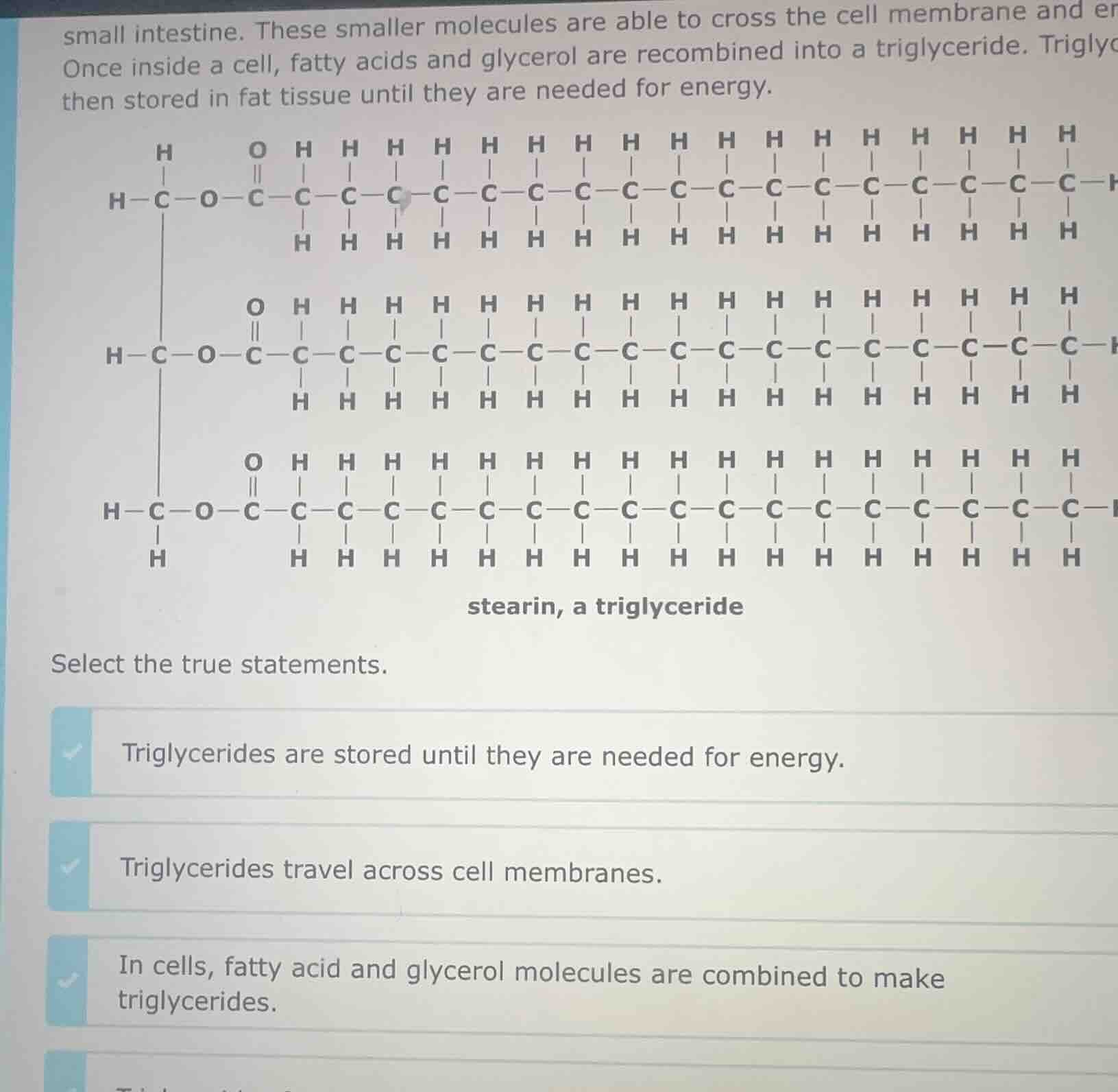 small intestine. these smaller molecules are able to cross the cell mem…