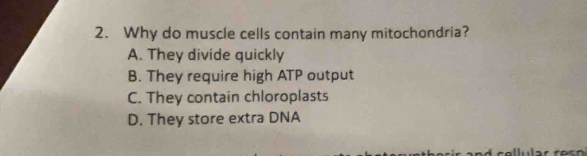 2. why do muscle cells contain many mitochondria? a. they divide quickl…