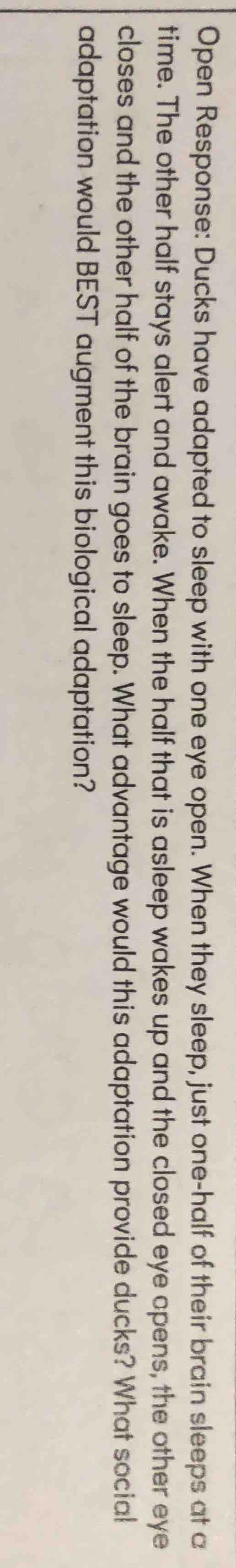 open response: ducks have adapted to sleep with one eye open. when they…